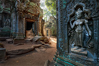 Relief im Ta Prohm Tempel in Angkor Wat