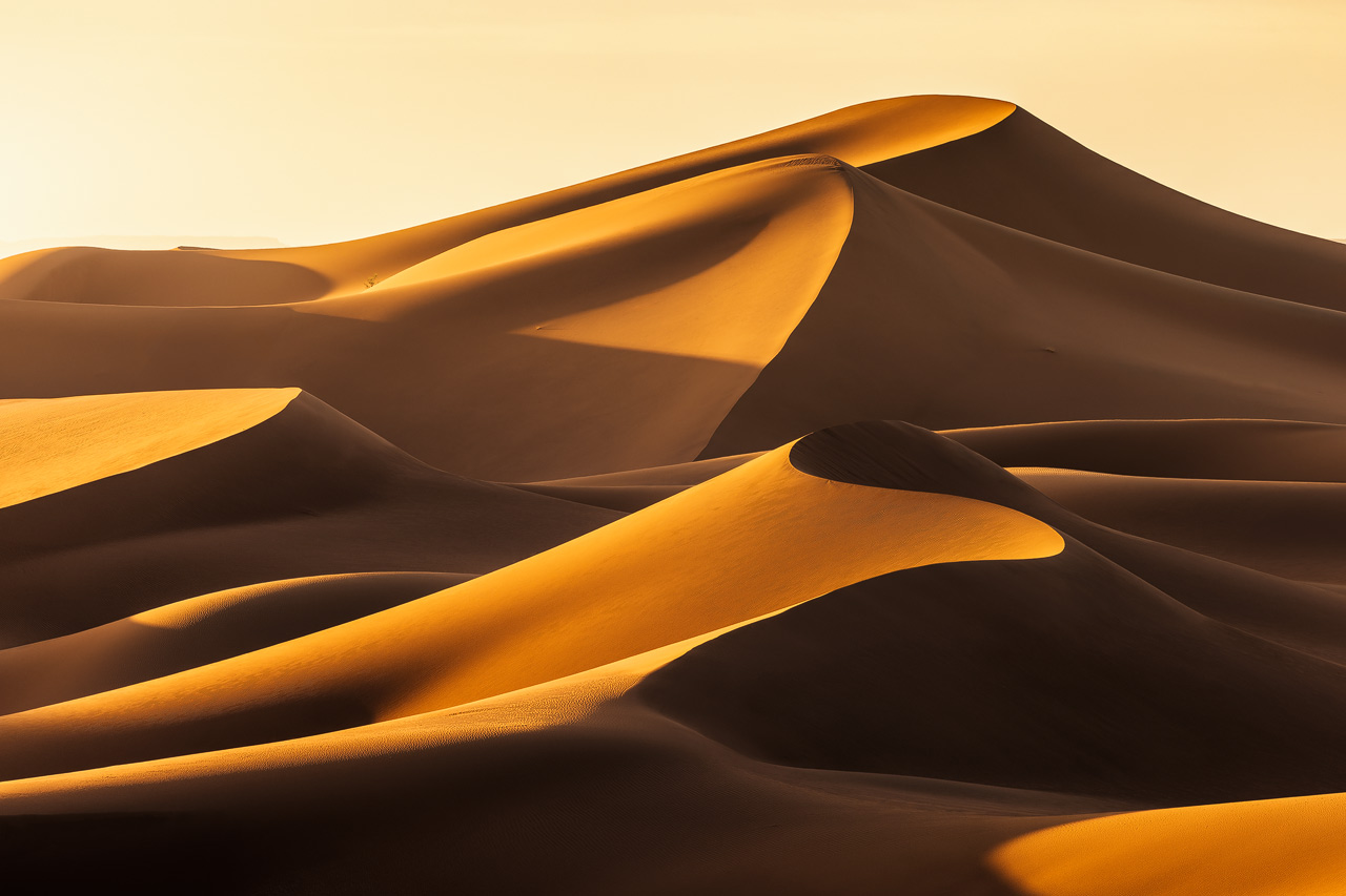 Massive dunes in golden morning light.