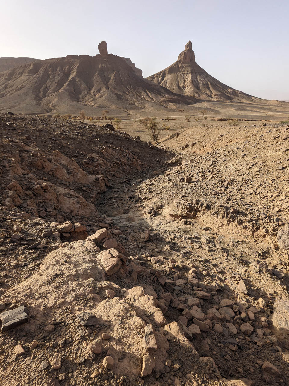 Jagged Peaks in a desert landscape.