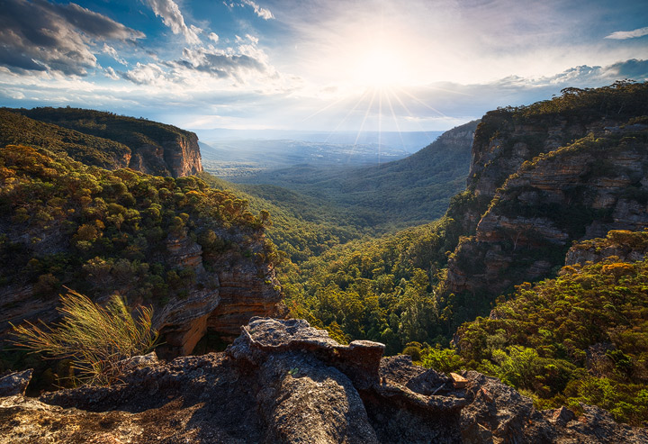 A deep canyon in the Blue Mountains of Australia, bathed in evening light