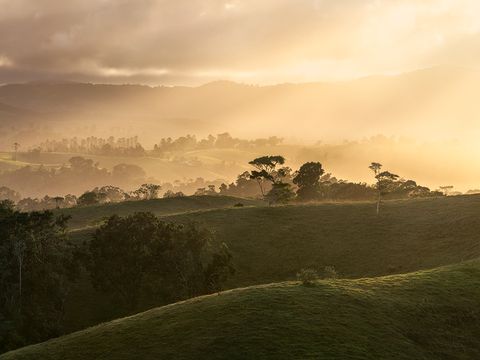 Rolling hills near Millaa Millaa during sunset