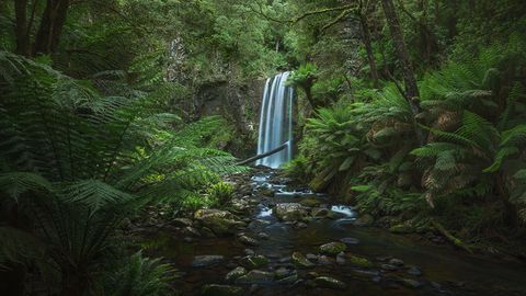 A beautiful waterfall surrounded by lush green vegetation