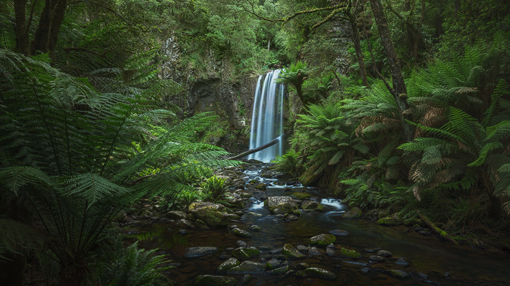 A beautiful waterfall surrounded by lush green vegetation