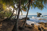 View of the beautiful coast of Manzanillo in Costa Rica