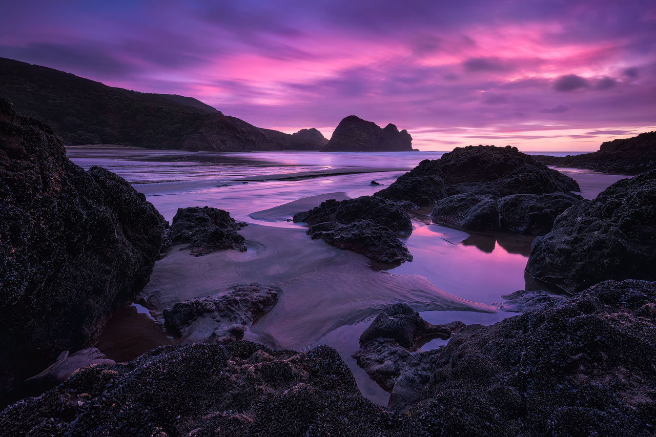 Pink sunset at Piha Beach