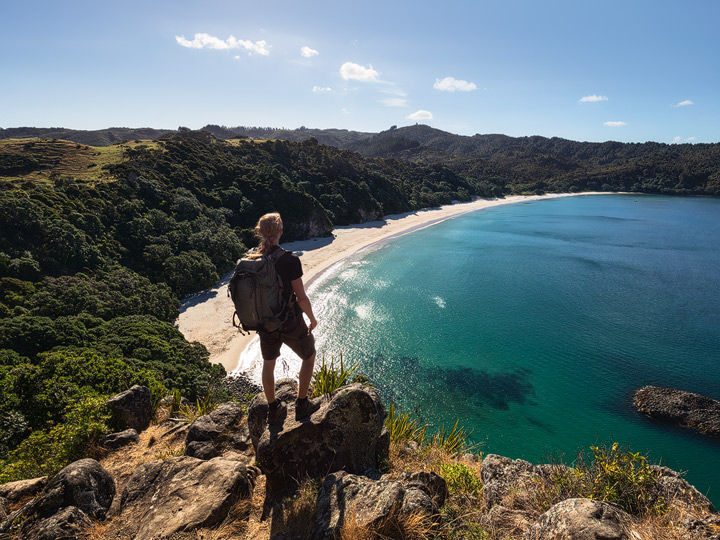 Hiker overlooking New Chums beach