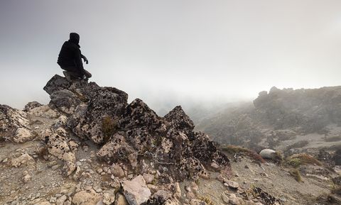 Waiting for the fog to clear