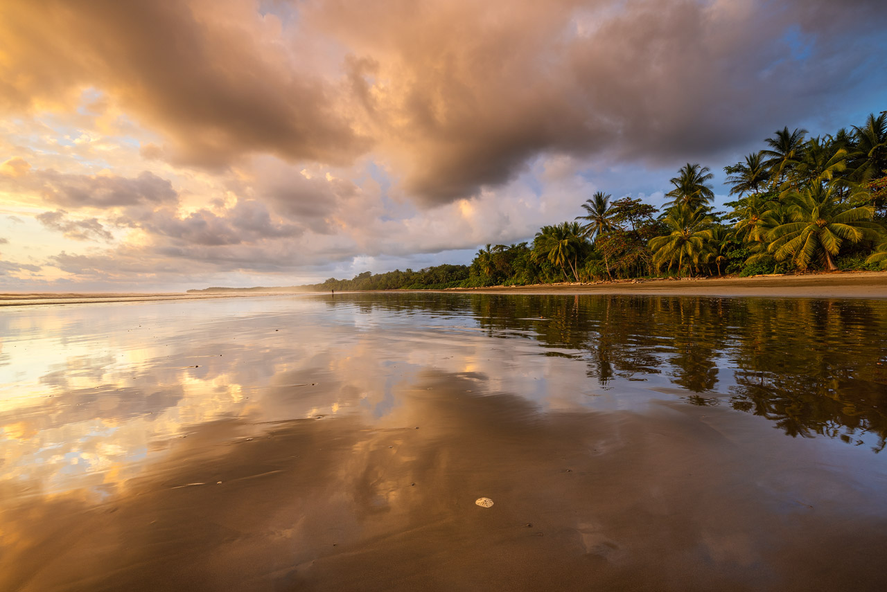 Photographing Marino Ballena National Park Photographing Marino Ballena National Park