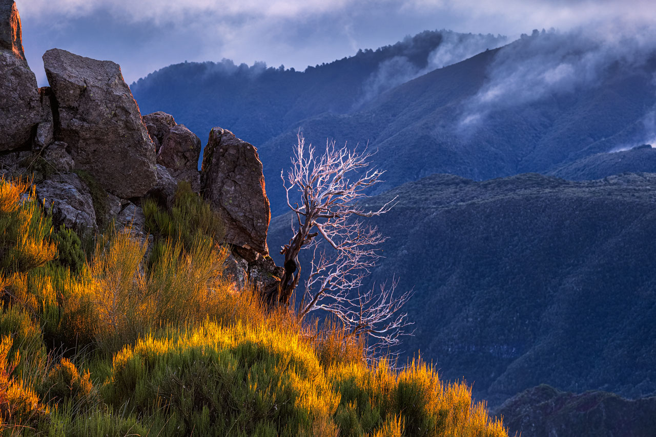 Photographing Pico Arieiro
