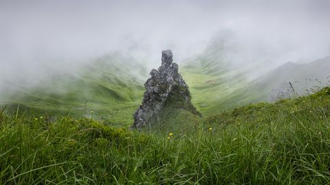 Val de Courre Guardian