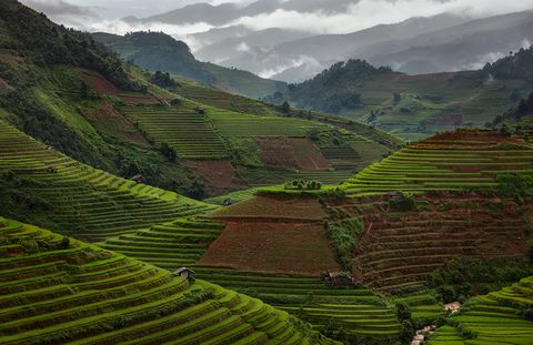 Mountains and rice terraces in northern Vietnam