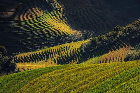 Landscape Photo of the Sapa Rice Paddies