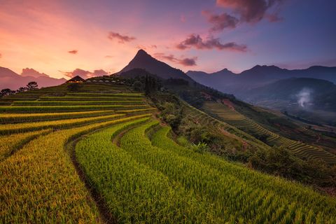 Topas Ecolodge with rice paddies during sunset
