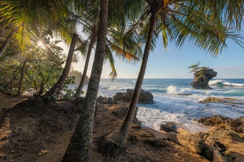 Manzanilla Caribbean Dream