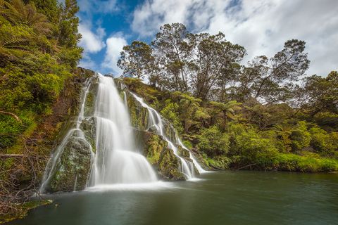 A waterfall surrounded by ferns in sunlight