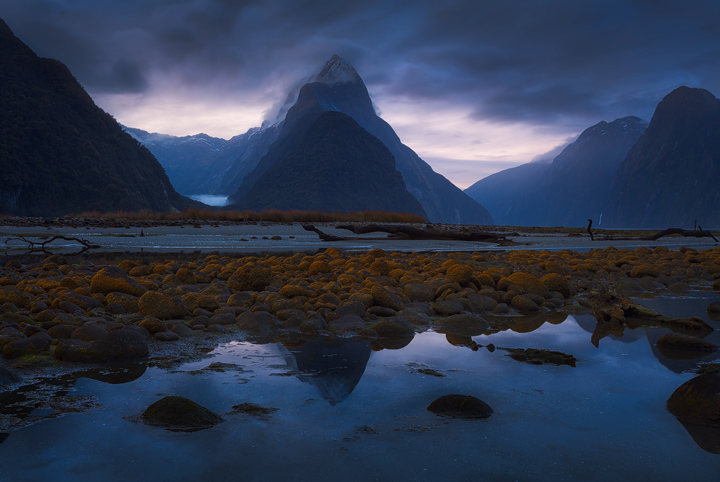 Mitre Peak rises above Milford Sound on a gloomy evening