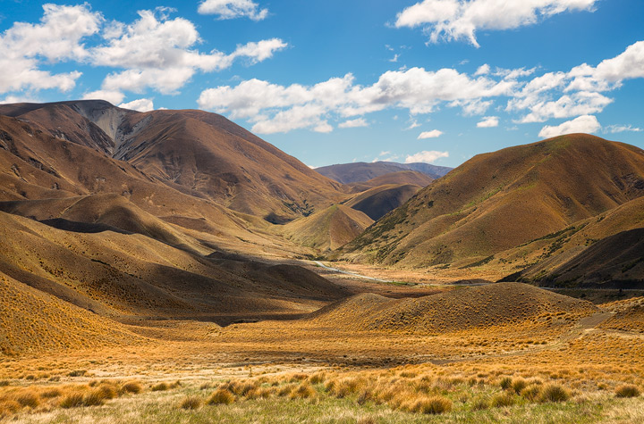 The golden grasses of Lindis Pass