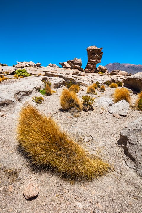Artistic rock structures near Laguna Negra in Bolivia
