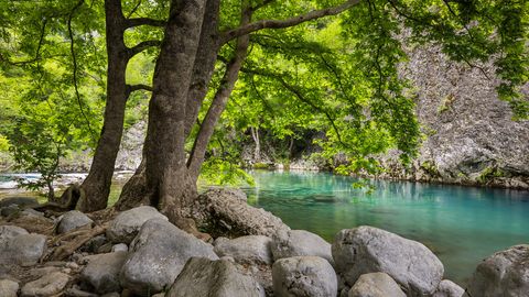 Voidomatis Springs