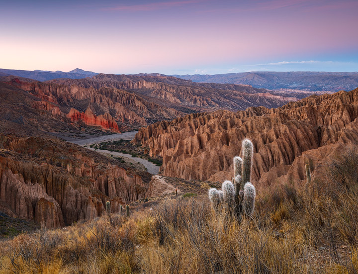 A canyon with intricately shaped rocks near Tupiza, Bolivia
