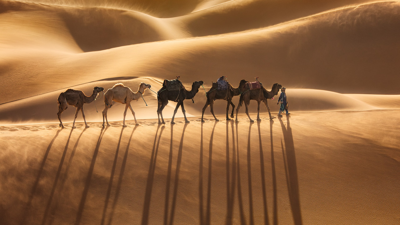 A caravan in the desert