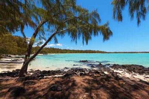 Tropical beach in Mauritius with turquoise water, black volcanic rocks, and lush casuarina trees under a clear blue sky.
