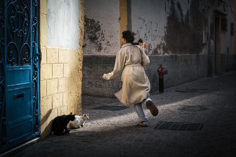 Mädchen in beigem Mantel, das Baguettes trägt, läuft an einer blauen Tür und zwei Katzen auf einer sonnendurchfluteten Straße in Essaouira, Marokko vorbei.