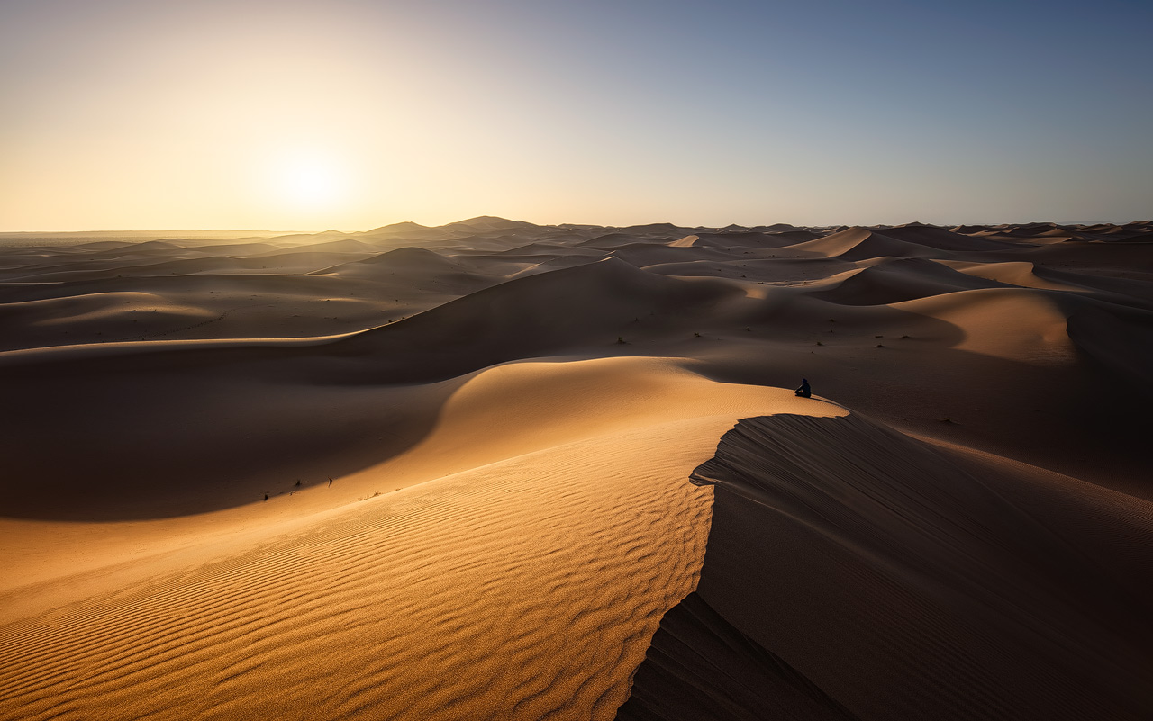 Desert Reverie