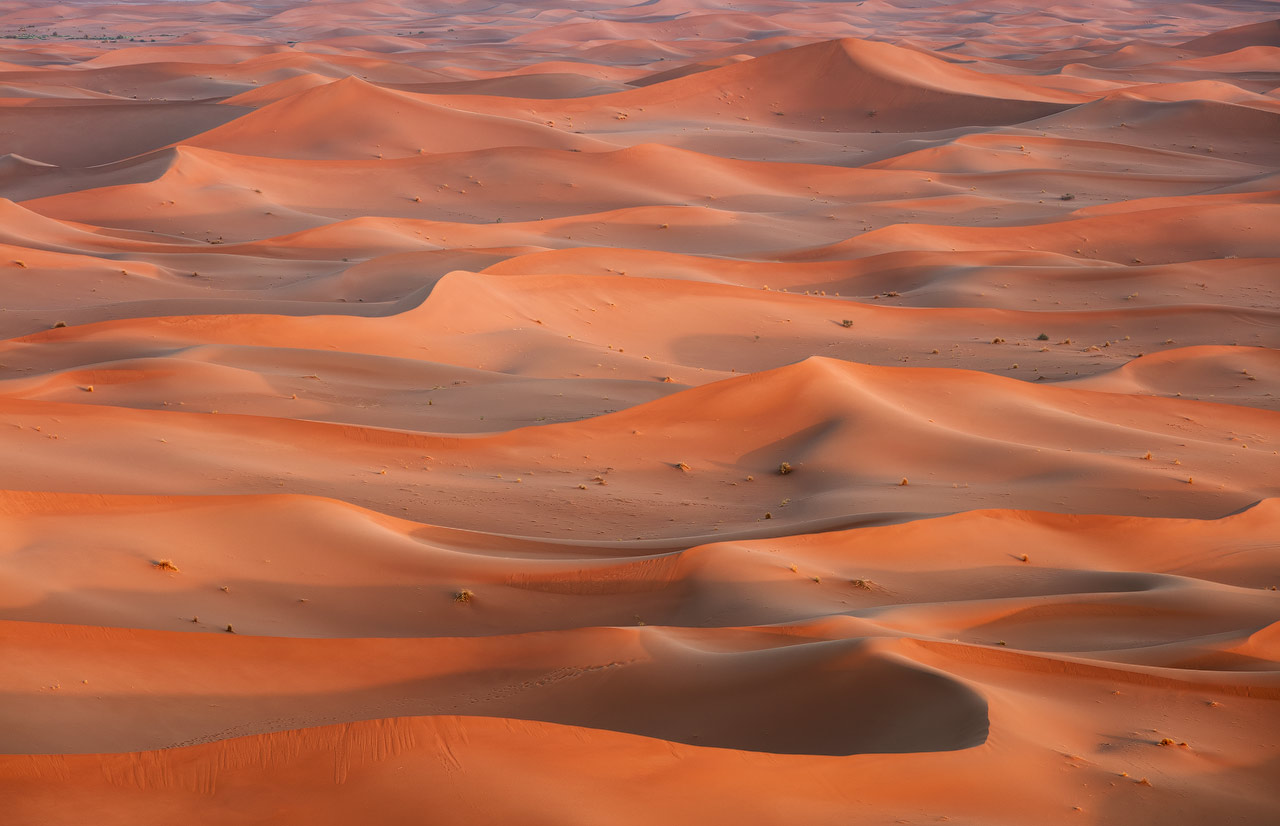 Red Sahara