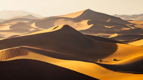 Golden sand dunes in the Moroccan desert with dramatic shadows and soft sunlight.