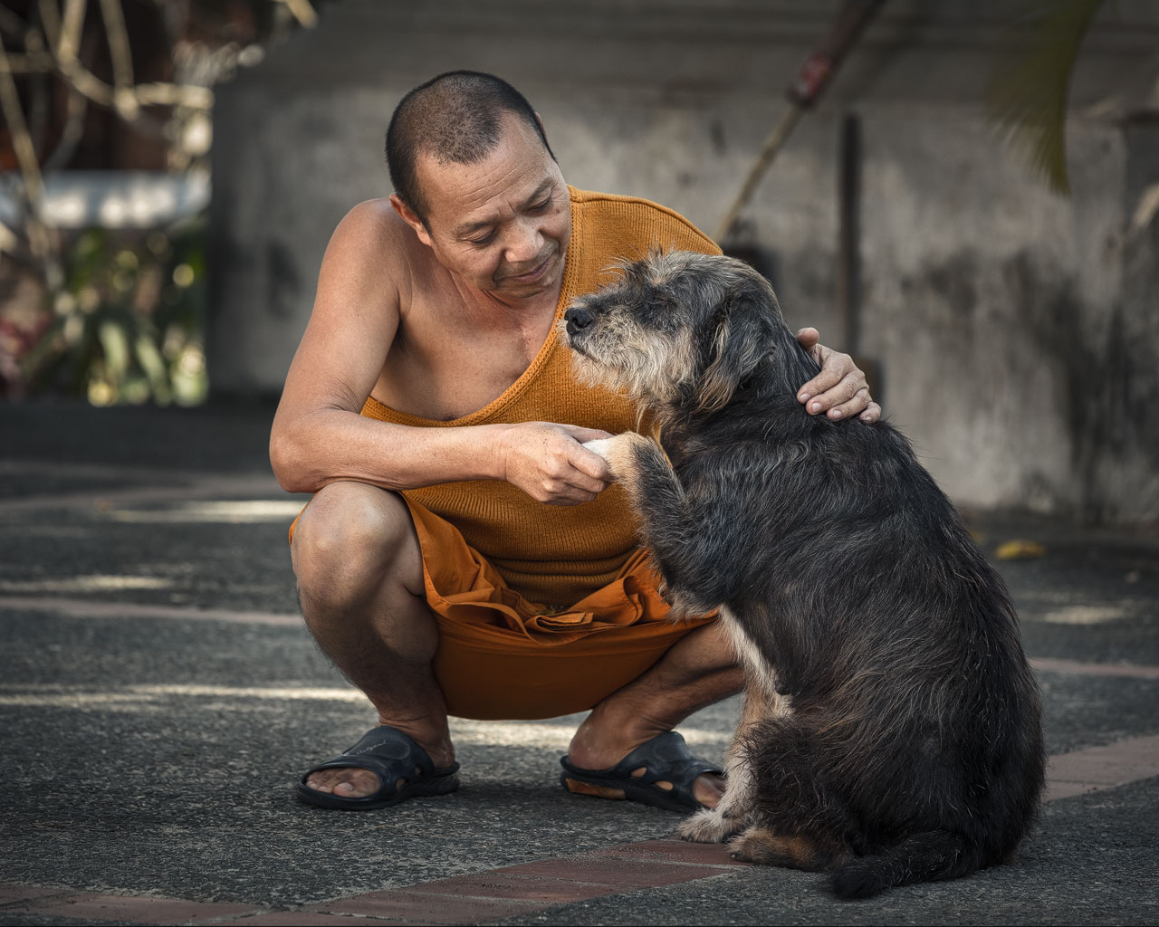 Ein Mönch mit seinem Hund in einem Tempel in Luang Prabang