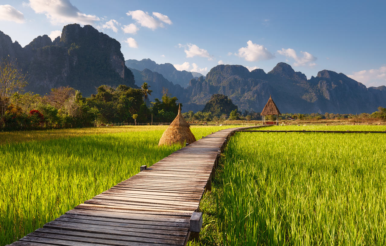 Reisterassen im Tara Resort in Laos mit Karst Bergen im Hintergrund