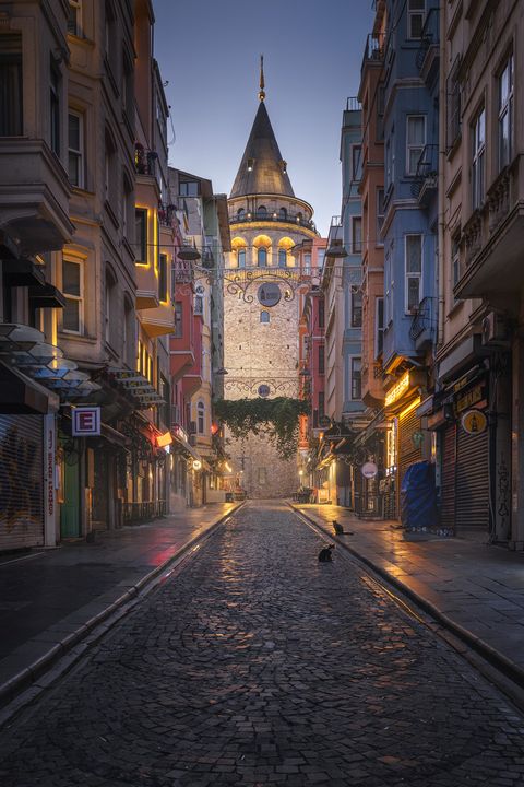 Narrow cobblestone street in Istanbul with the historic Galata Tower in the background, surrounded by colorful buildings with a few cats sitting on the street.