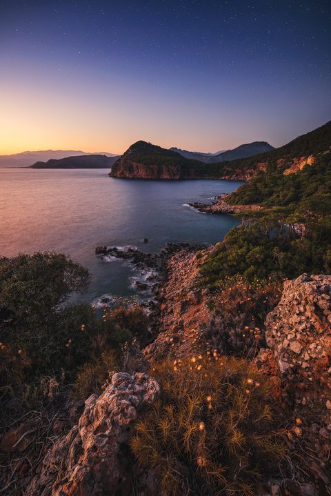 Rocky coastline in Turkey at sunset, with pine trees, wildflowers, and a calm sea under a starry sky.