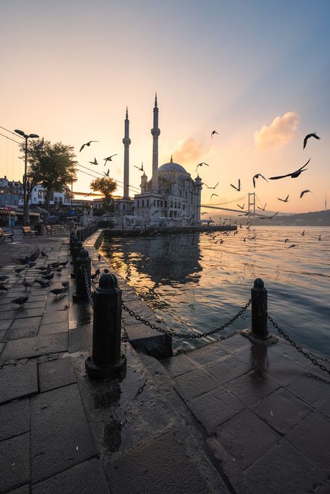 Ortaköy Mosque by the Bosphorus at sunrise with birds flying and reflections on the water, Istanbul, Turkey.