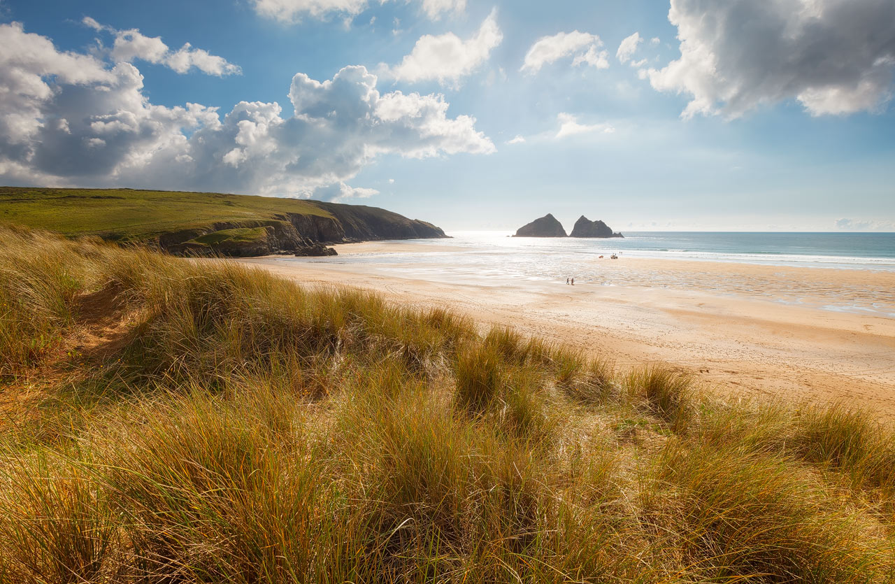 The sun lights up the grasses at Holywell Bay in Cornwall.