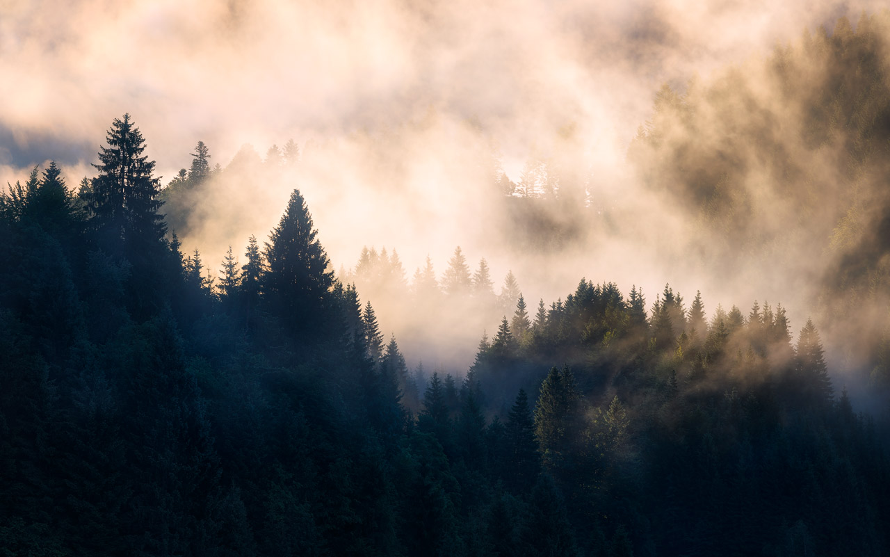 Fog lit by morning light in the German Alps
