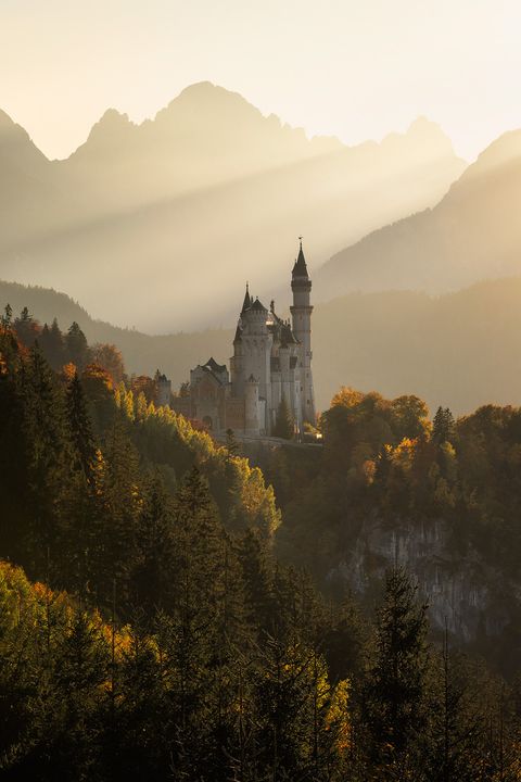 Neuschwanstein Castle surrounded by autumnal forest with misty mountain peaks in the background and soft golden sunlight streaming through.