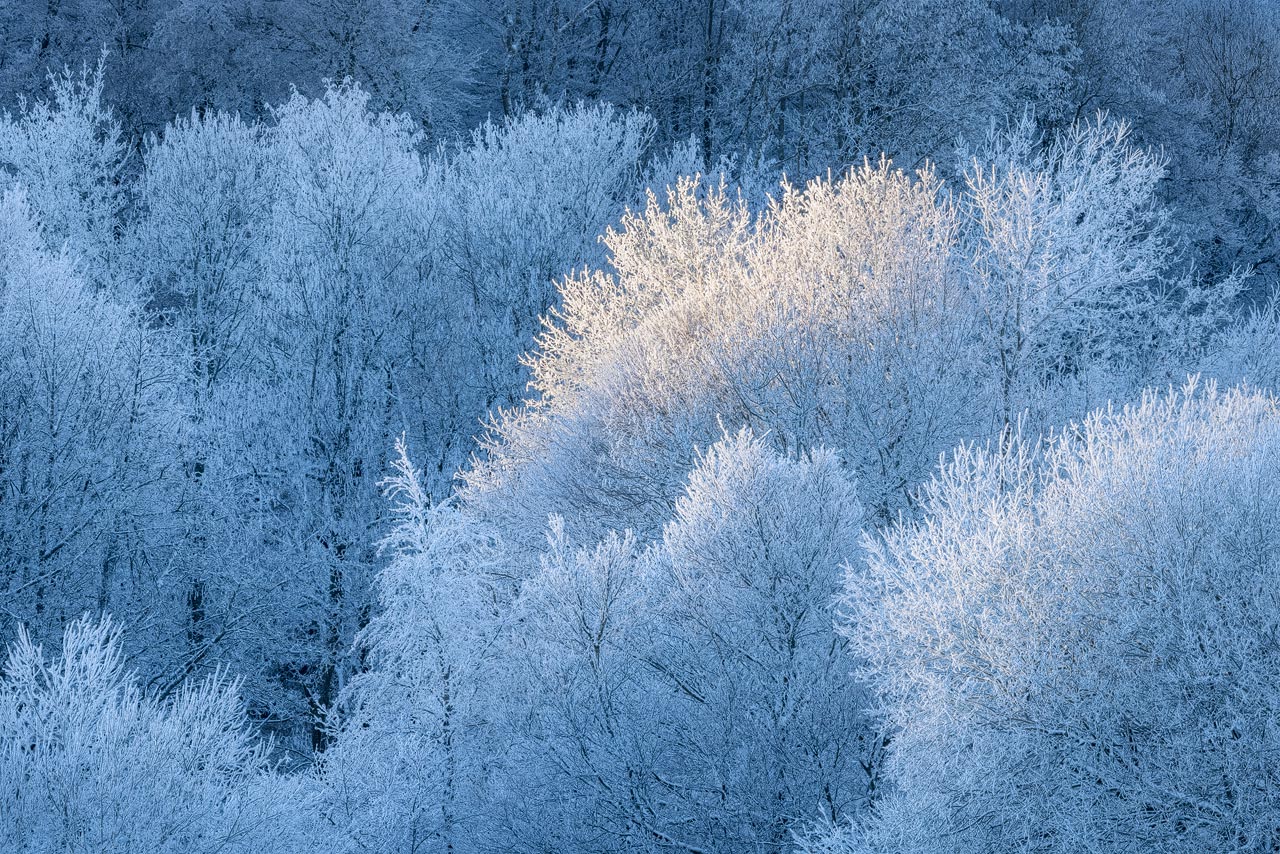 Frosty trees in the German Rhön on a cold morning