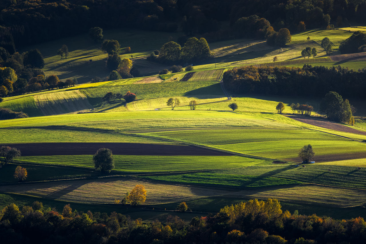 Die Hügel der deutschen Rhön im warmen Licht eines Herbst-Nachmittags