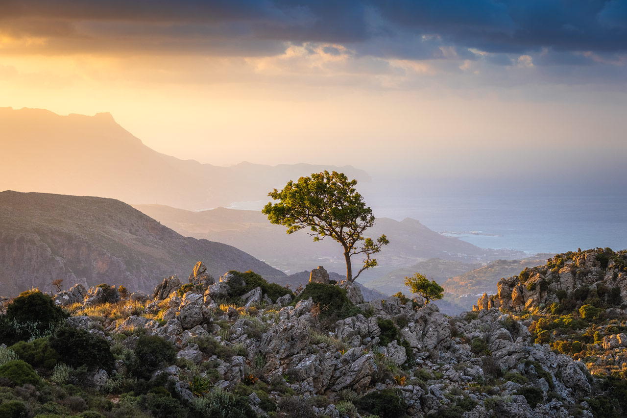 Ein einsamer Baum auf einem felsigen Hügel gegen einen bunten Himmel auf Kreta