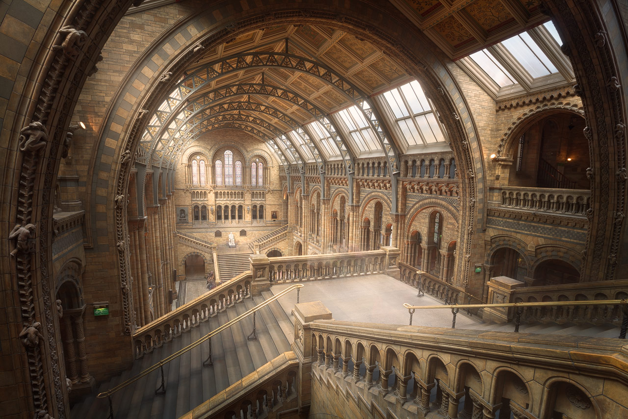 The great hall of the Natural History Museum in London in golden light