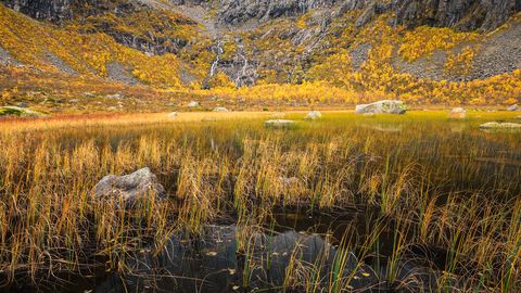 Autumn landscape in Norway with a calm pond, yellow grasses, scattered rocks, and a hillside covered in vibrant fall foliage.