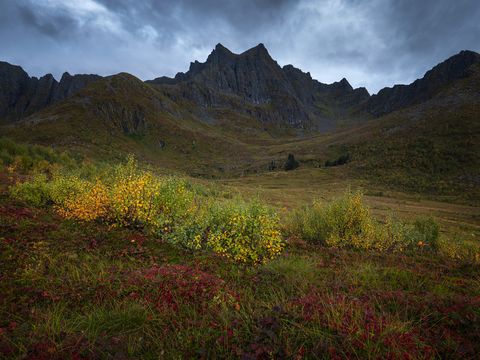 Dramatic mountain landscape near Melfjordvaer on Senja with rugged peaks, cloudy sky, and vibrant autumn foliage in the foreground.