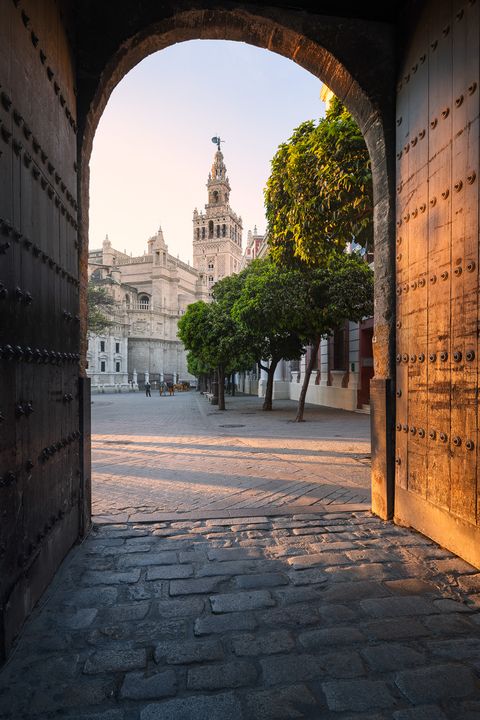 Stone archway with open wooden doors leading to a plaza with trees, and the Giralda tower of Seville Cathedral in the background, Spain.