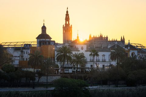 Sunrise view of Seville’s skyline with the Giralda tower, palm trees, and historic buildings silhouetted against a golden sky.