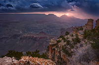 An old tree at the edge of the grand canyon with a stormy sunrise behind