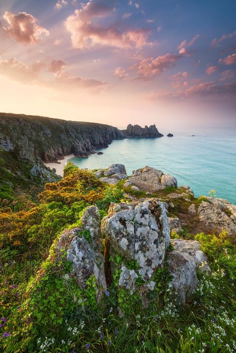 Coastal Garden Fineart Print