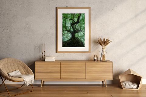 Magic Tree Fine Art Print