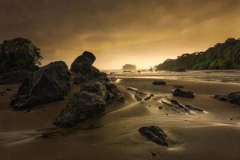 Pacific Rim Fineart Print